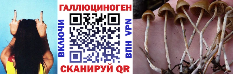 Галлюциногенные грибы Magic Shrooms  Кадников 